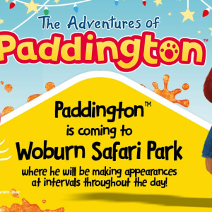 Come and meet Paddington