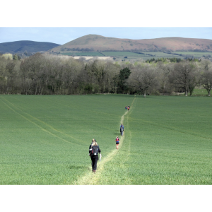 Shropshire Way 80K Festival