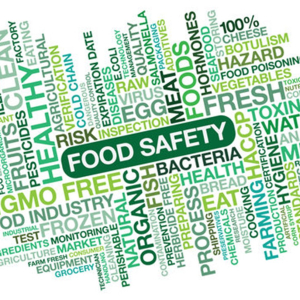 Food Safety in Catering Level 2  (with Level 1 Award in Employability Skills)