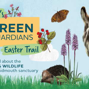 Drizzle's Green Guardians Easter Trail