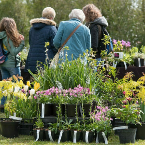 Arundel Castle announces 2024 Plant Fair with the return of the celebrated Plant Fair Roadshow