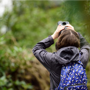 Birdwatching for Beginners at RSPB Sandwell Valley