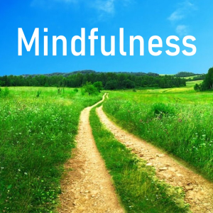 8 Week Mindfulness Course