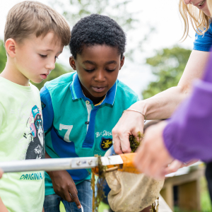 Guided Pond Dipping at RSPB Sandwell Valley