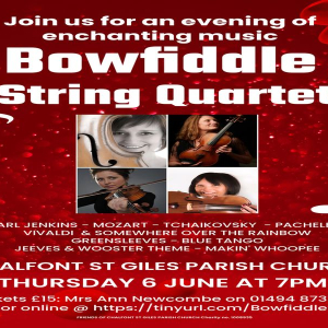 Bowfiddle String Quartet