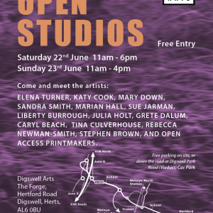 DIGSWELL ARTS- THE FORGE - OPEN STUDIOS 