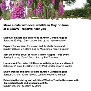 BBOWT CHILTERNS GROUP Local wildlife trust guided walks and talks! 