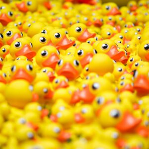 SPACE Annual Duck Race
