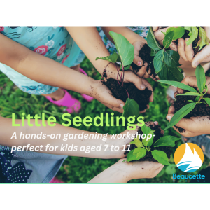 Little Seedlings Gardening Workshop