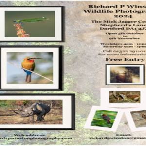 Wildlife Photography Exhibition 5th October to 9th November 2024 at the Mick Jagger Centre Dartford