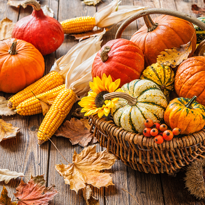 St George’s Park Nursing Home Harvest Festival Celebration