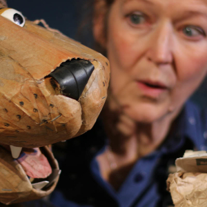 Lempen Puppet Theatre Company present Cardboard Carnival The Carnival of the Animals