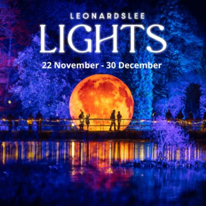 Leonardslee Lights 