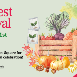 Celebrate Harvest Festival at Vicar Lane 