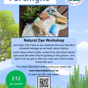 Natural Dye Workshop