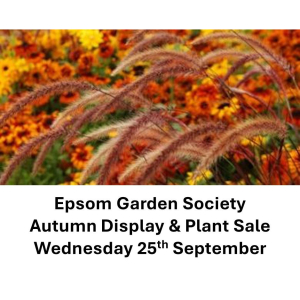 Epsom Garden Society Autumn display and plant sale