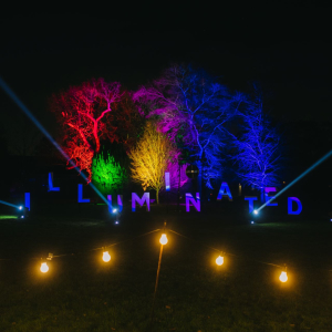 Stockwood Illuminated