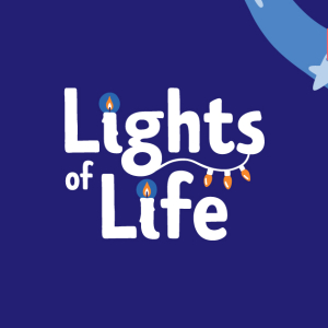 Lights of Life 2024