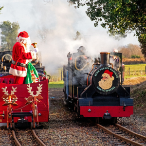 Festive Express