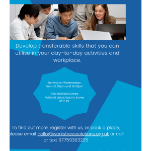 Voluntary Work Experience Group (VWE) 