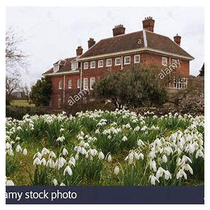 Snowdrops at Benington Lordship