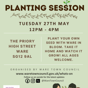 School Holiday Activity – Planting Session with Ware in Bloom