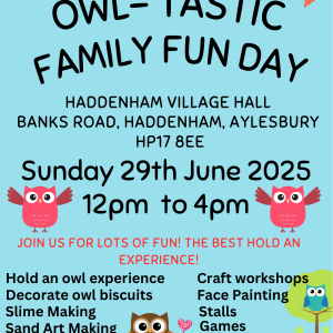 Owl - Tastic Family Fun Day - Haddenham, Aylesbury