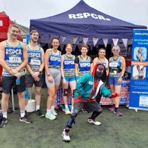 Ipswich Half Marathon 2025 RSPCA FUNDRAISING ENTRY