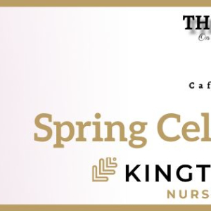 Kington Court Care Home Spring Celebration!