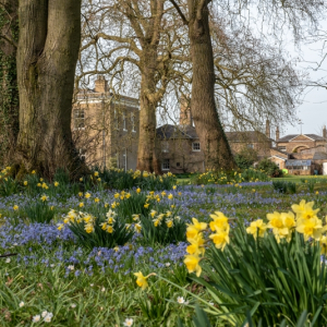 National Garden Scheme - Walkern Hall