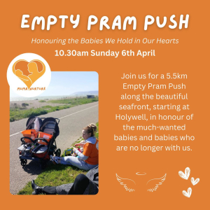 Empty Pram Push