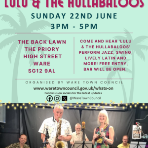 Summer Concert – Lulu And The Hullabaloos