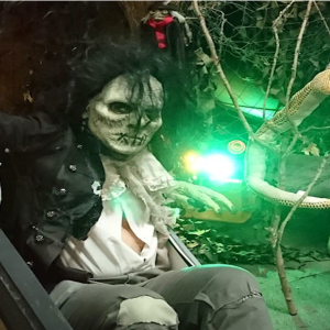 Halloween Family Fun