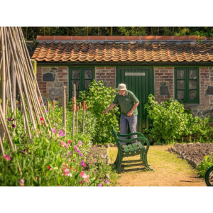 Spring Back to Life: plant and cake sale