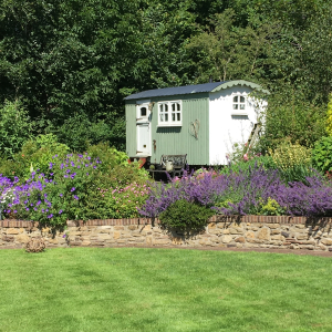 Shere Open Gardens 2025