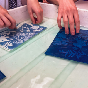 Garden Cyanotypes: Family Print Session