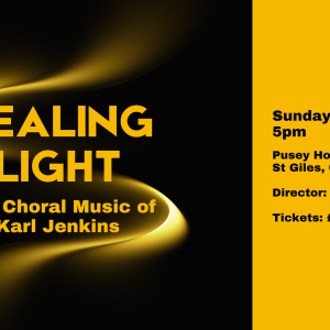 Healing Light - The Choral Music of Karl Jenkins - vOx Chamber Choir