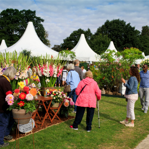 Wisley Flower Show
