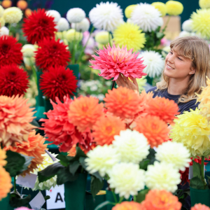 National Dahlia Society Show
