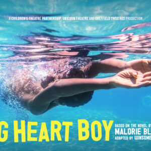 Pig Heart Boy