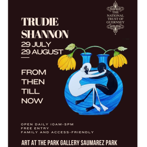 Trudie Shannon's exhibition 'From Then Till Now'