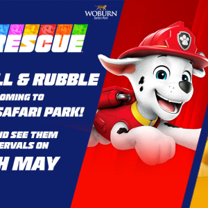 See Marshall and Rubble from PAW Patrol on 24th May 2025