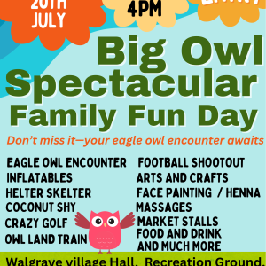 Big Owl Spectacular Family Fun Day 