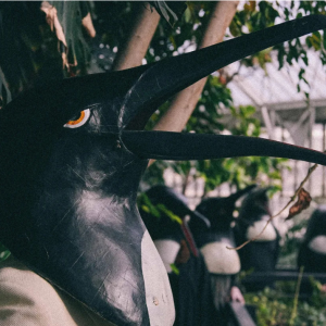 Penguin Cafe