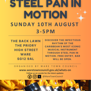Summer Concert – Steel Pan In Motion