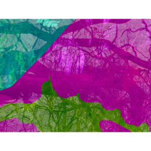 Tractored by Beetles - Somerset Rural Life Museum
