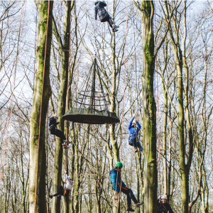 May Half Term Activities - Tree Climbing 