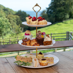 Bray beyond borders; Afternoon Tea for Donkeys Worldwide