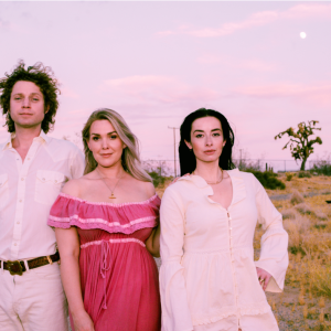 The Wandering Hearts