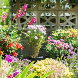 In Conversation with... Garden Experts